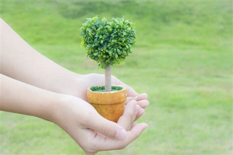 樹木植栽|【植栽方法】庭木の適切な植え方を徹底解説！